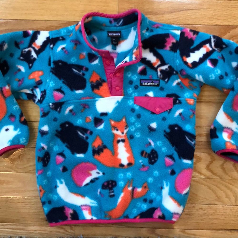 Patagonia synchilla fleece